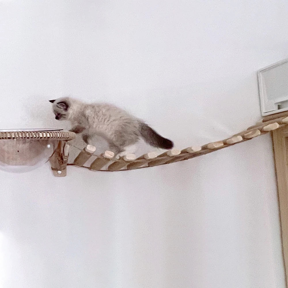 Cat Bridge Rope Ladder - We Have the Goodies