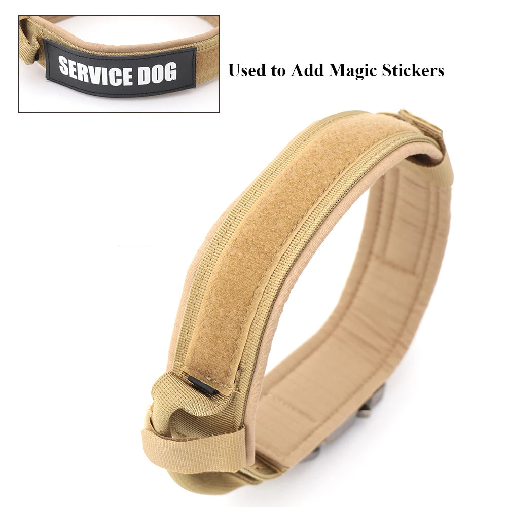 Dog Collar and Leash Set. - We Have the Goodies