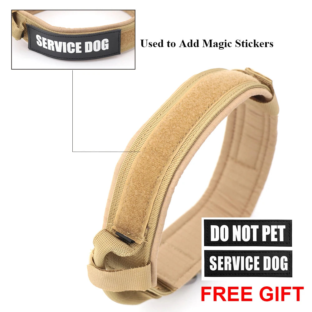 Dog Collar and Leash Set. - We Have the Goodies