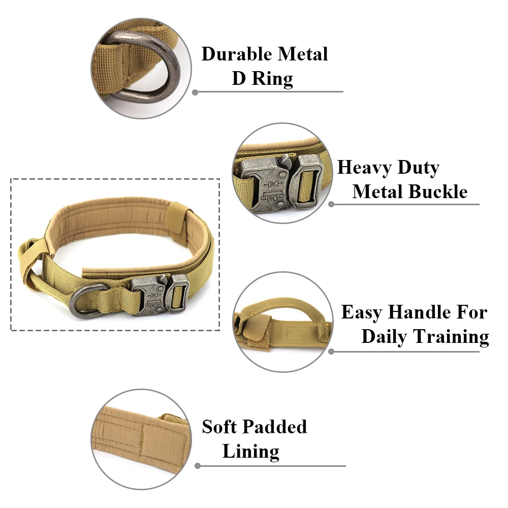 Dog Collar and Leash Set. - We Have the Goodies