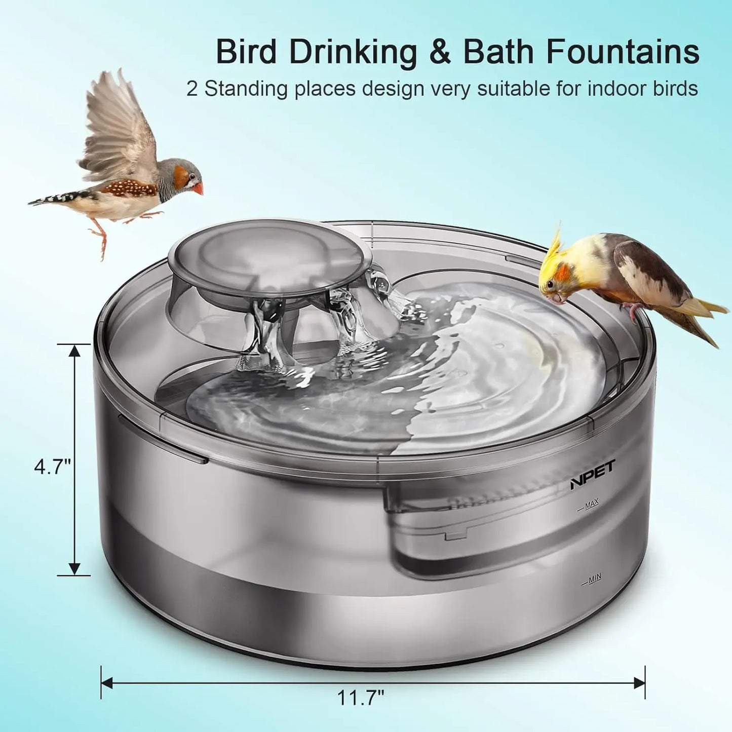 Pet Water Fountain - We Have the Goodies
