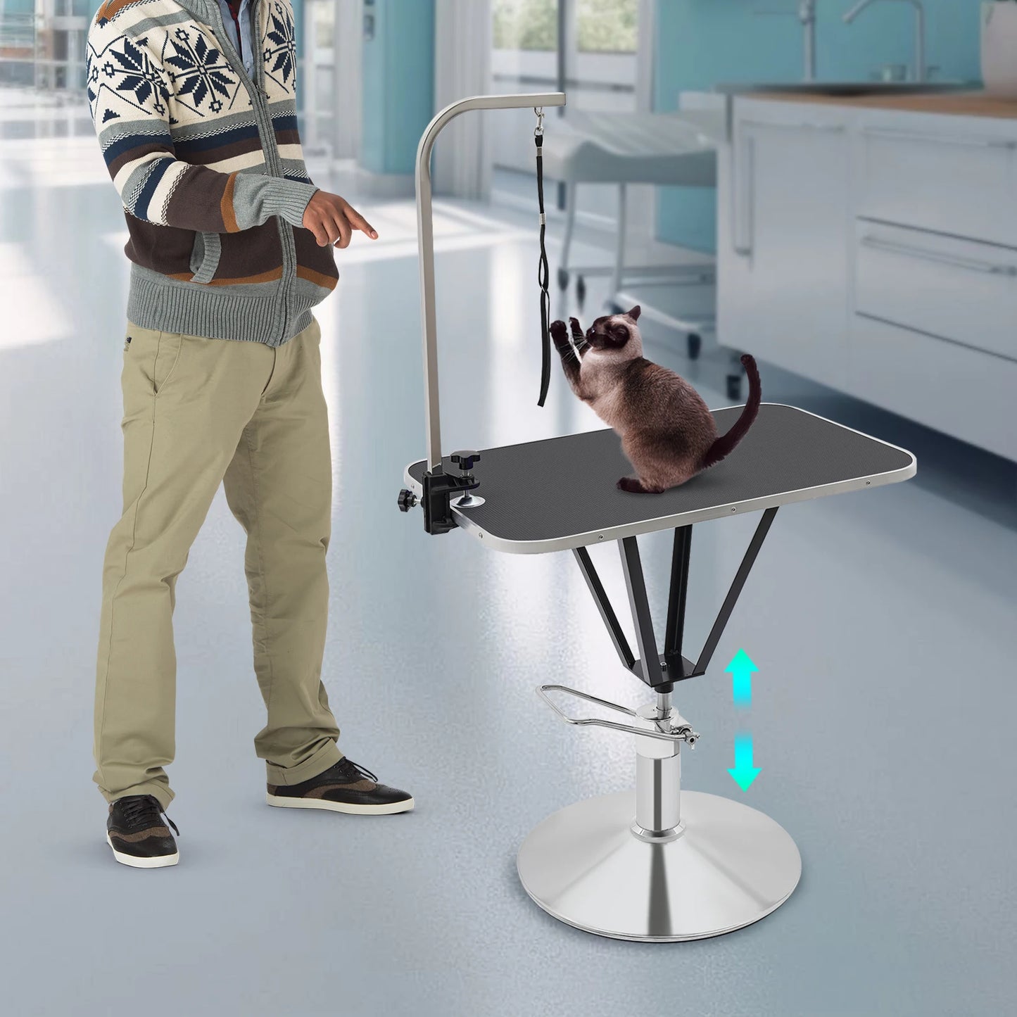 Pet Grooming Table - We Have the Goodies