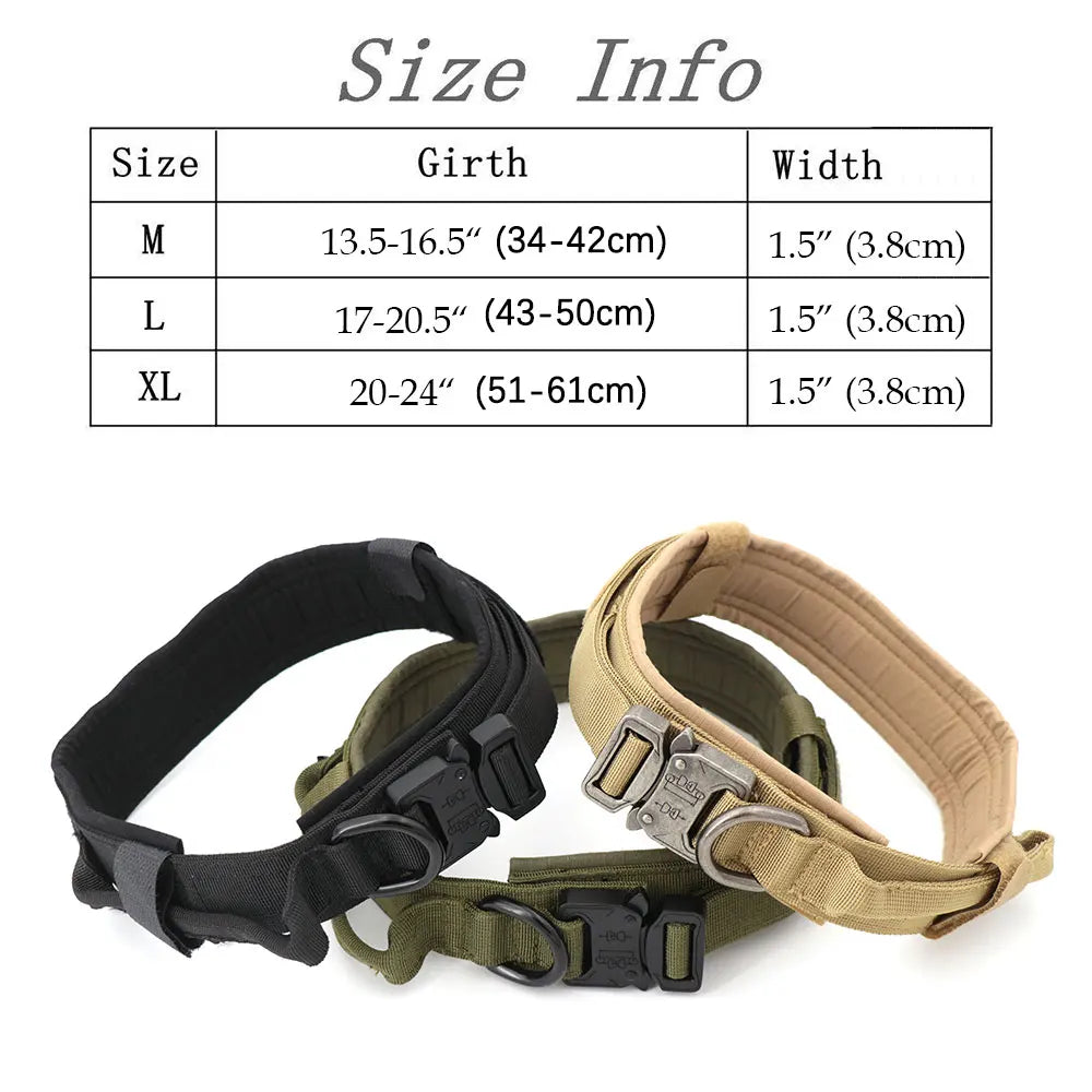 Dog Collar and Leash Set. - We Have the Goodies