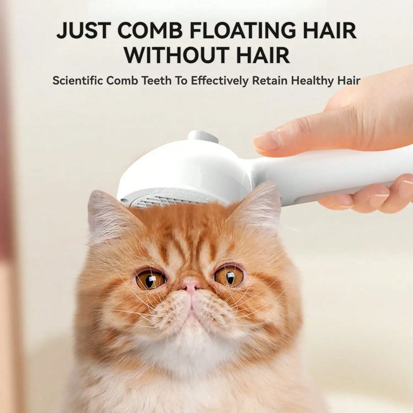Pet Steam Brush
