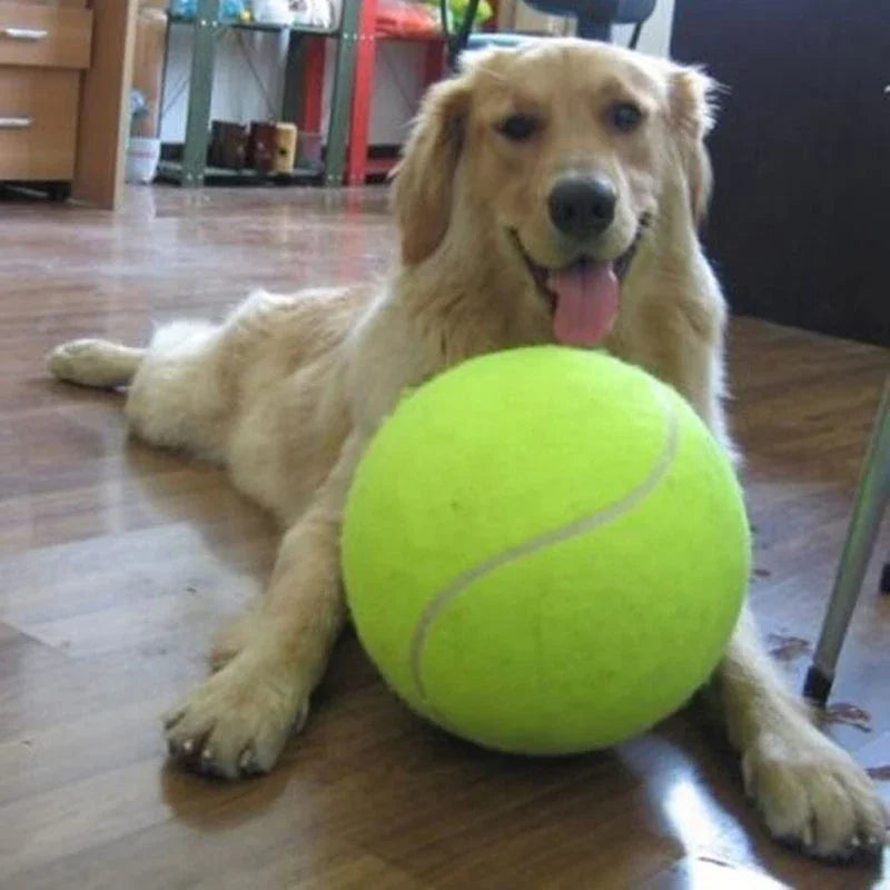 Giant Tennis Ball Dog Toy - We Have the Goodies