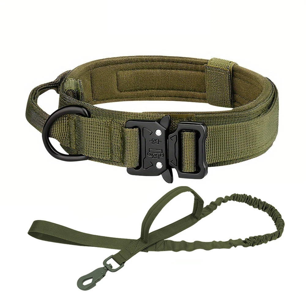 Dog Collar and Leash Set. - We Have the Goodies