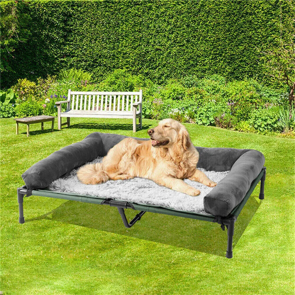 Raised Dog Bed - We Have the Goodies