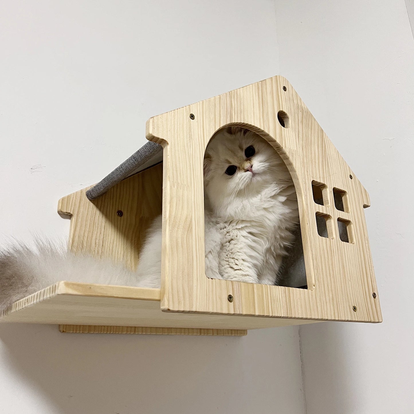 1pc Wall Mounted Cat Condo - We Have the Goodies