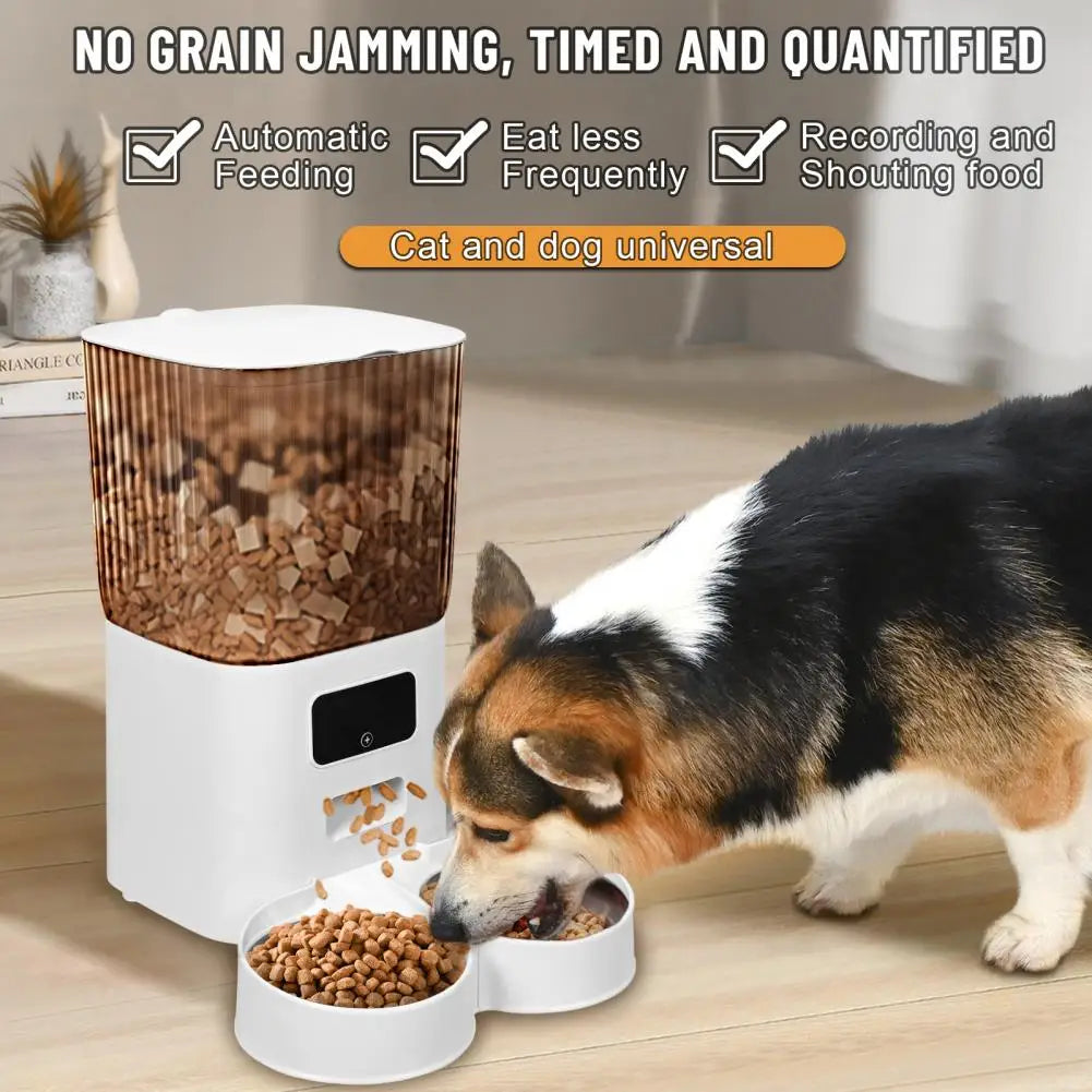 Smart Pet Feeder