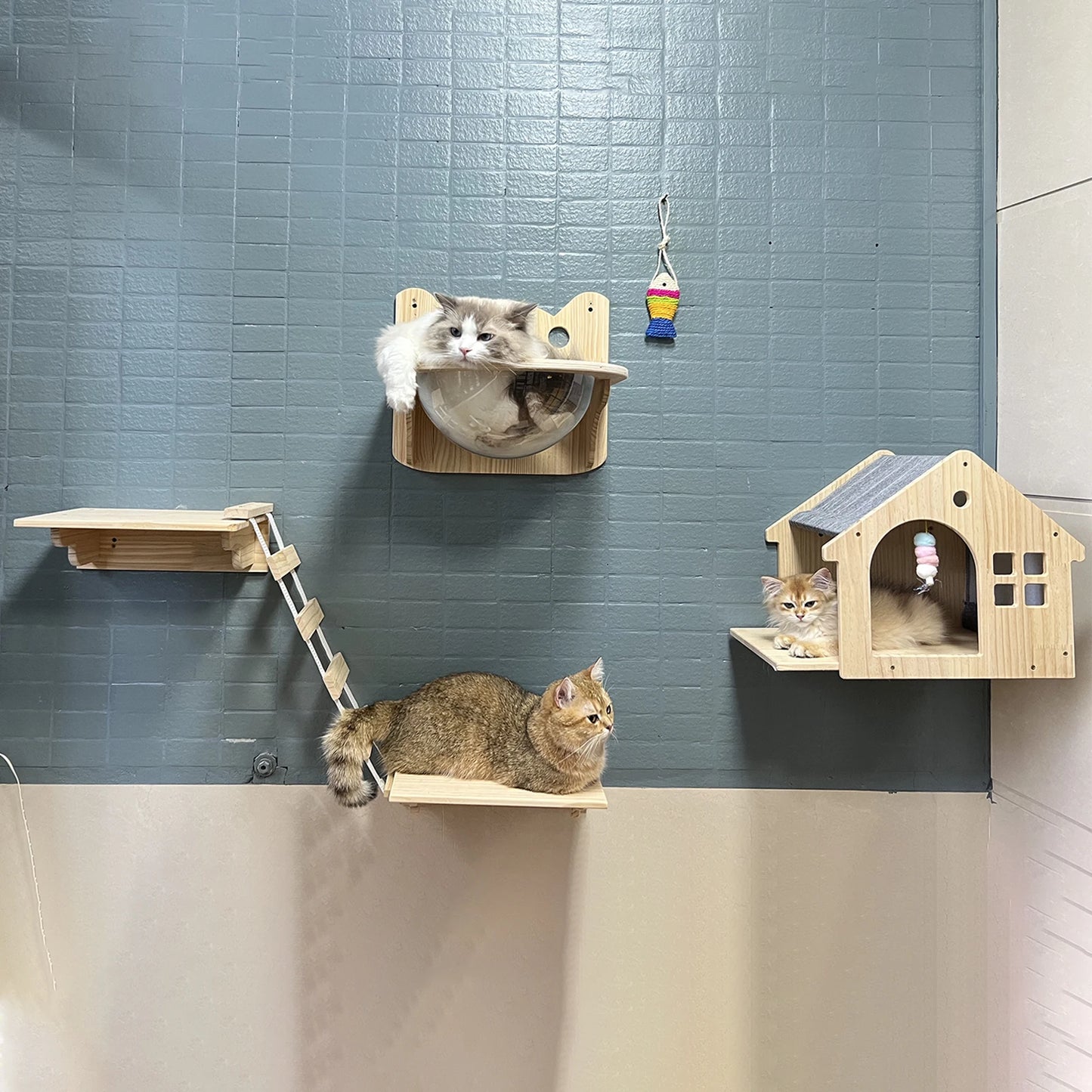 1pc Wall Mounted Cat Condo - We Have the Goodies