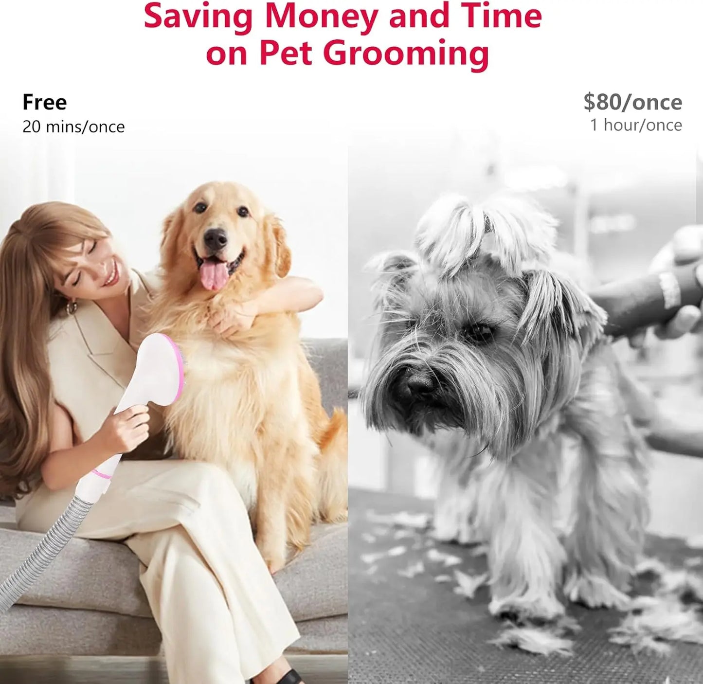 Pet Grooming Vacuum - We Have the Goodies