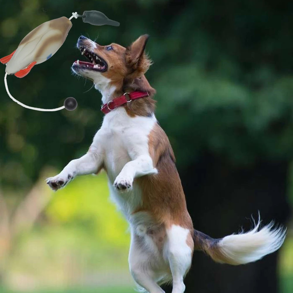 Pet Dog Training Duck. - We Have the Goodies