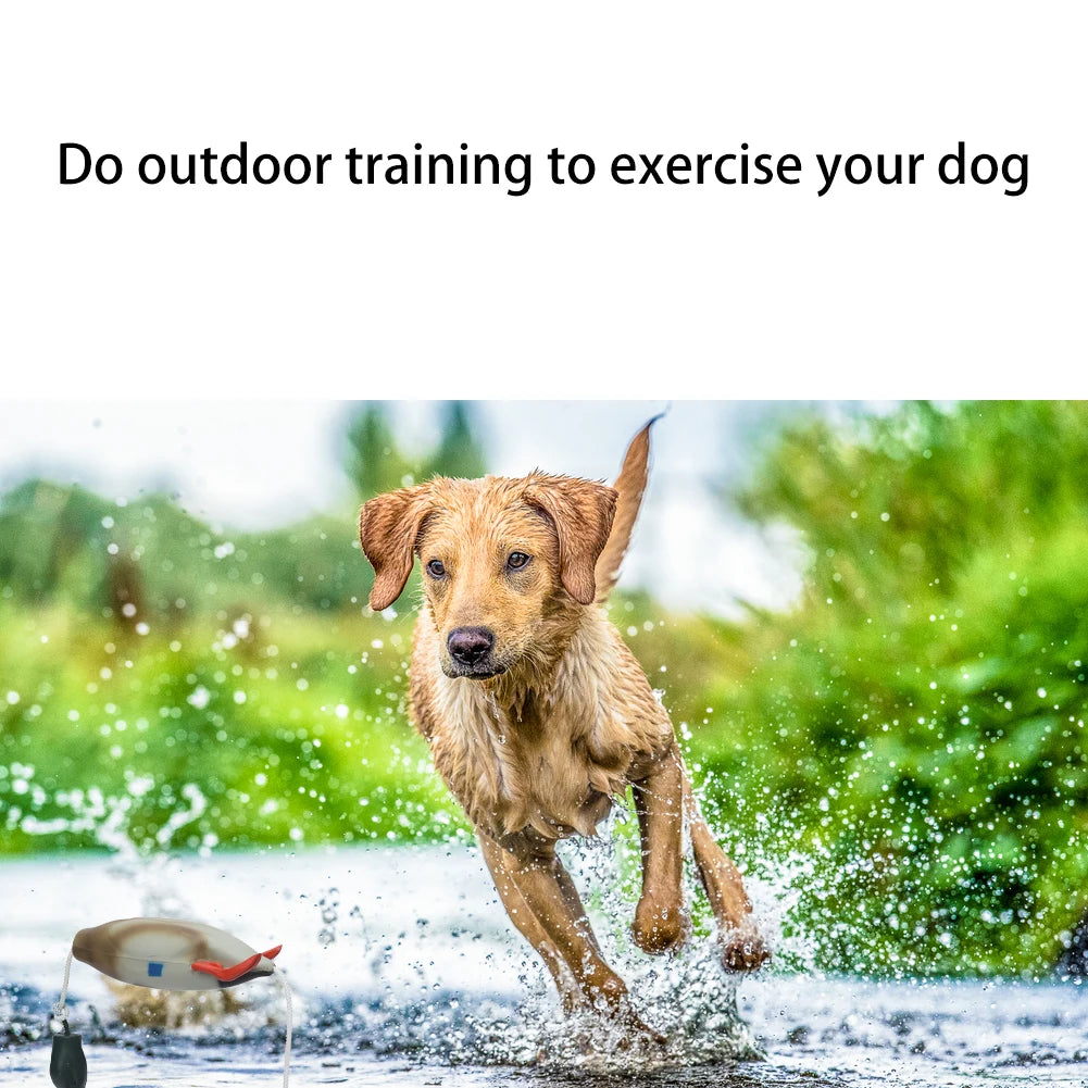 Pet Dog Training Duck. - We Have the Goodies
