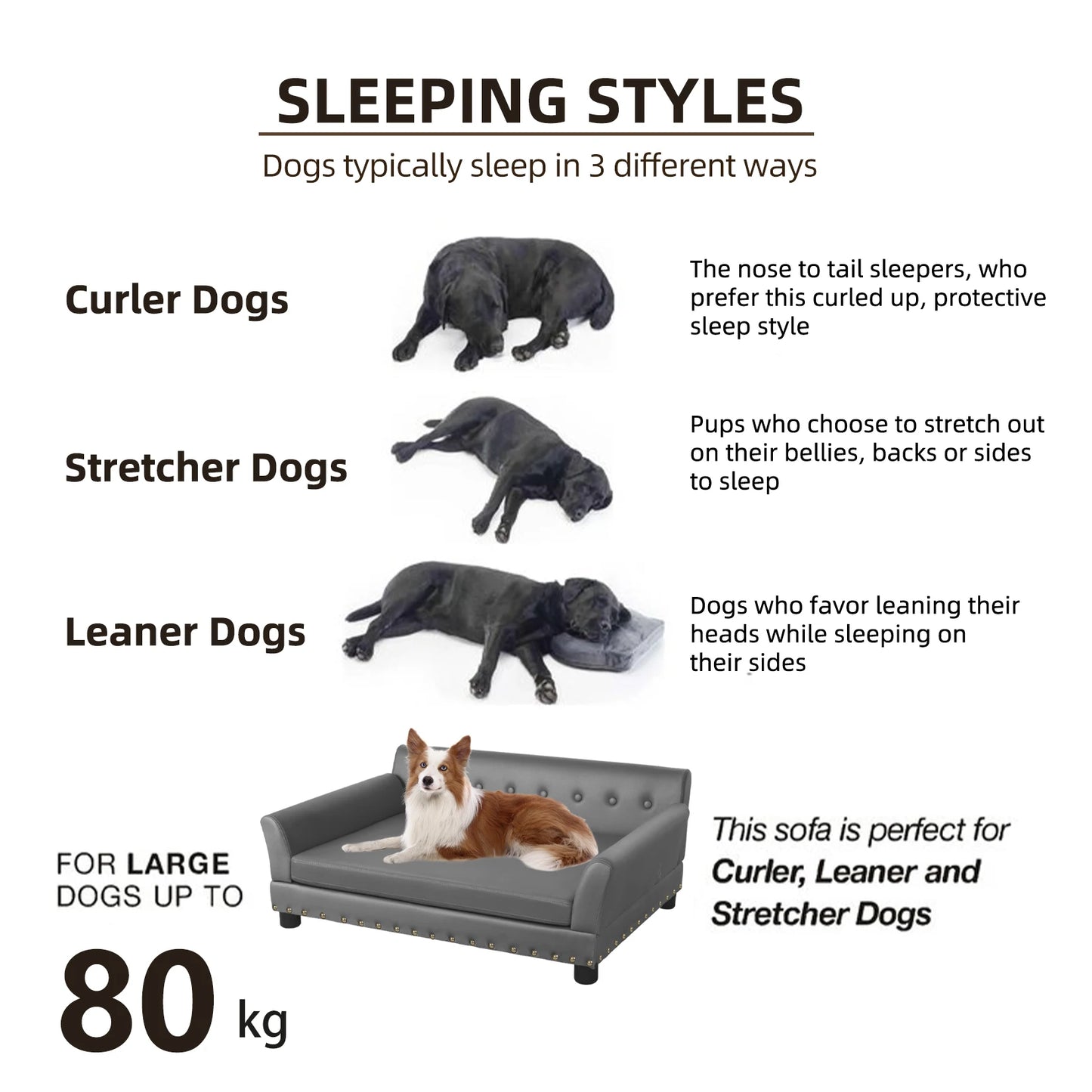 Dog Sofa with Removable Cushion - We Have the Goodies