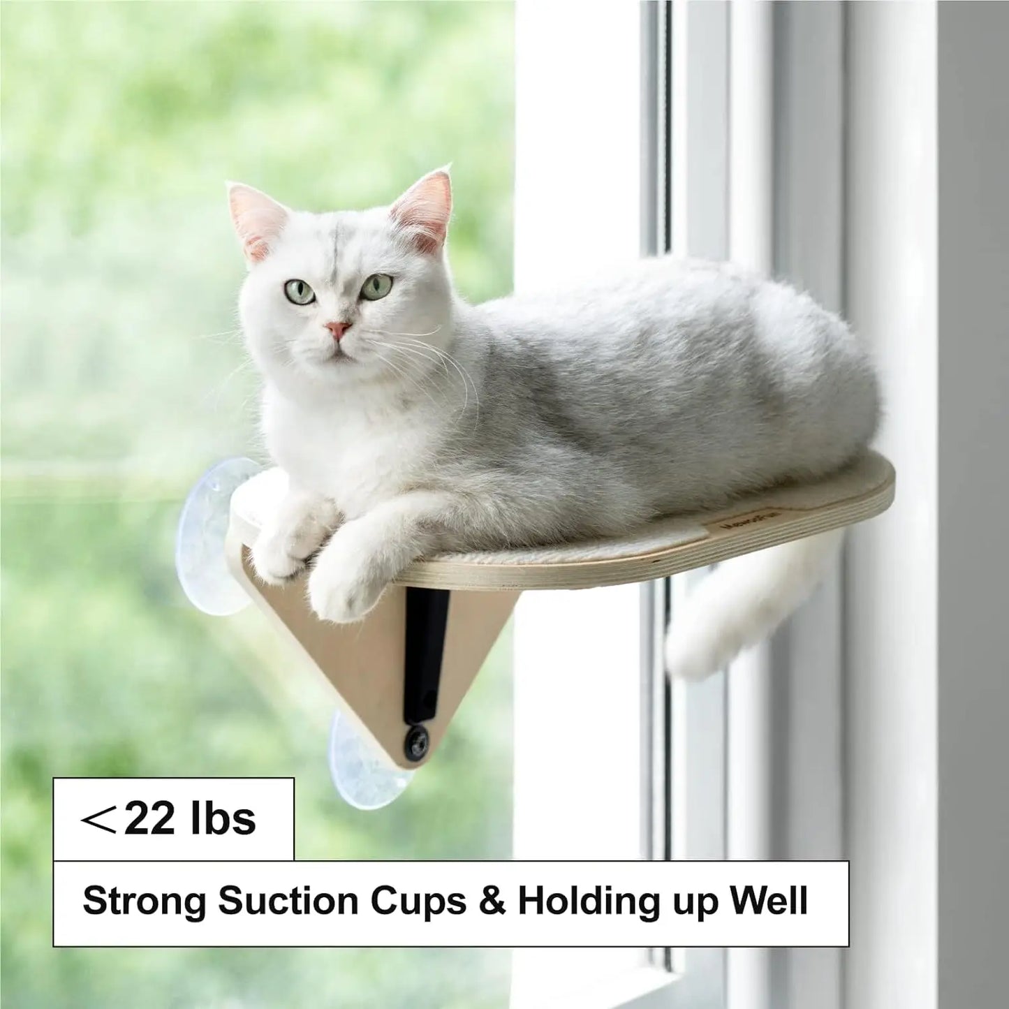 Cat Window Hammock with Climbing Steps