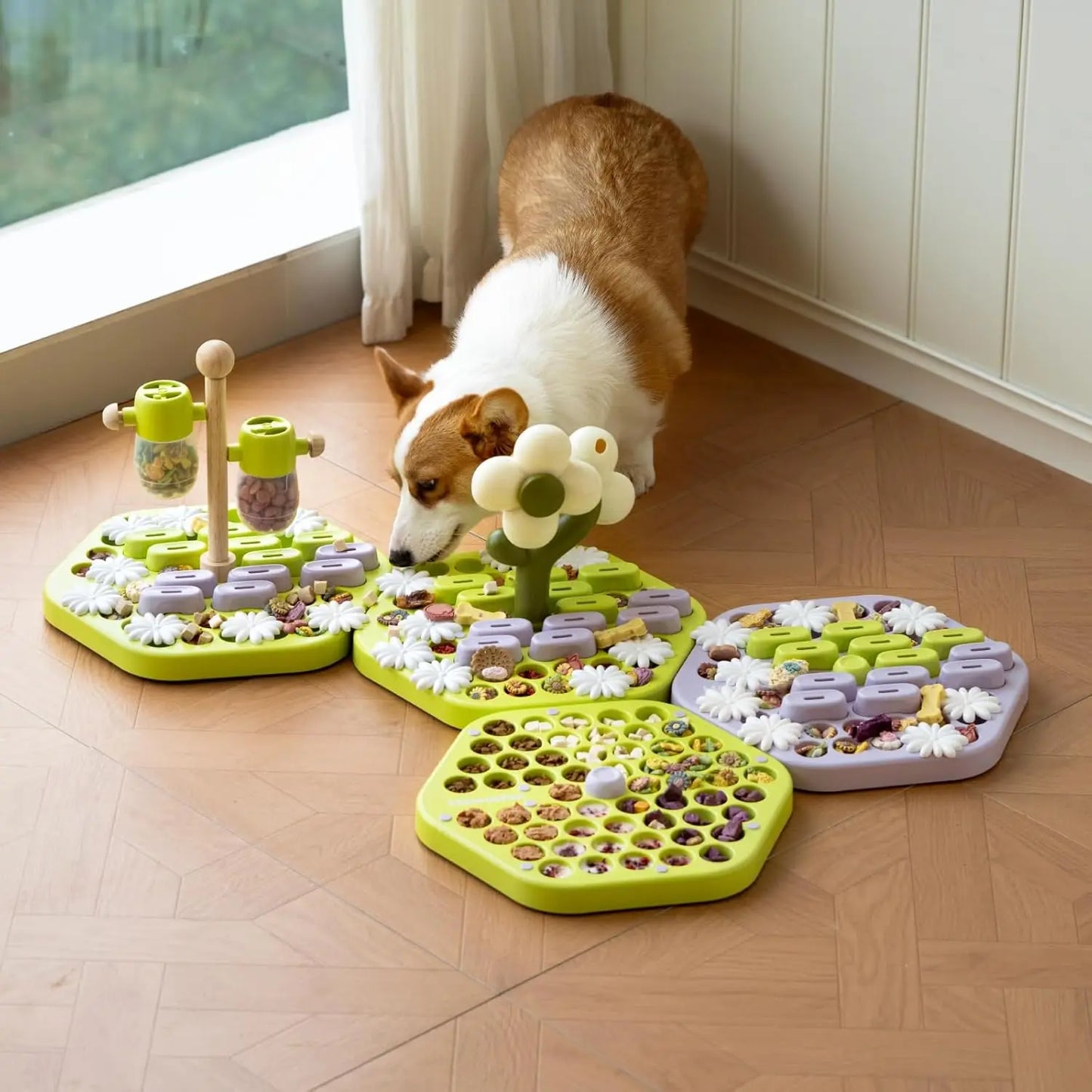 Level 4 Dog Puzzle Toy - We Have the Goodies