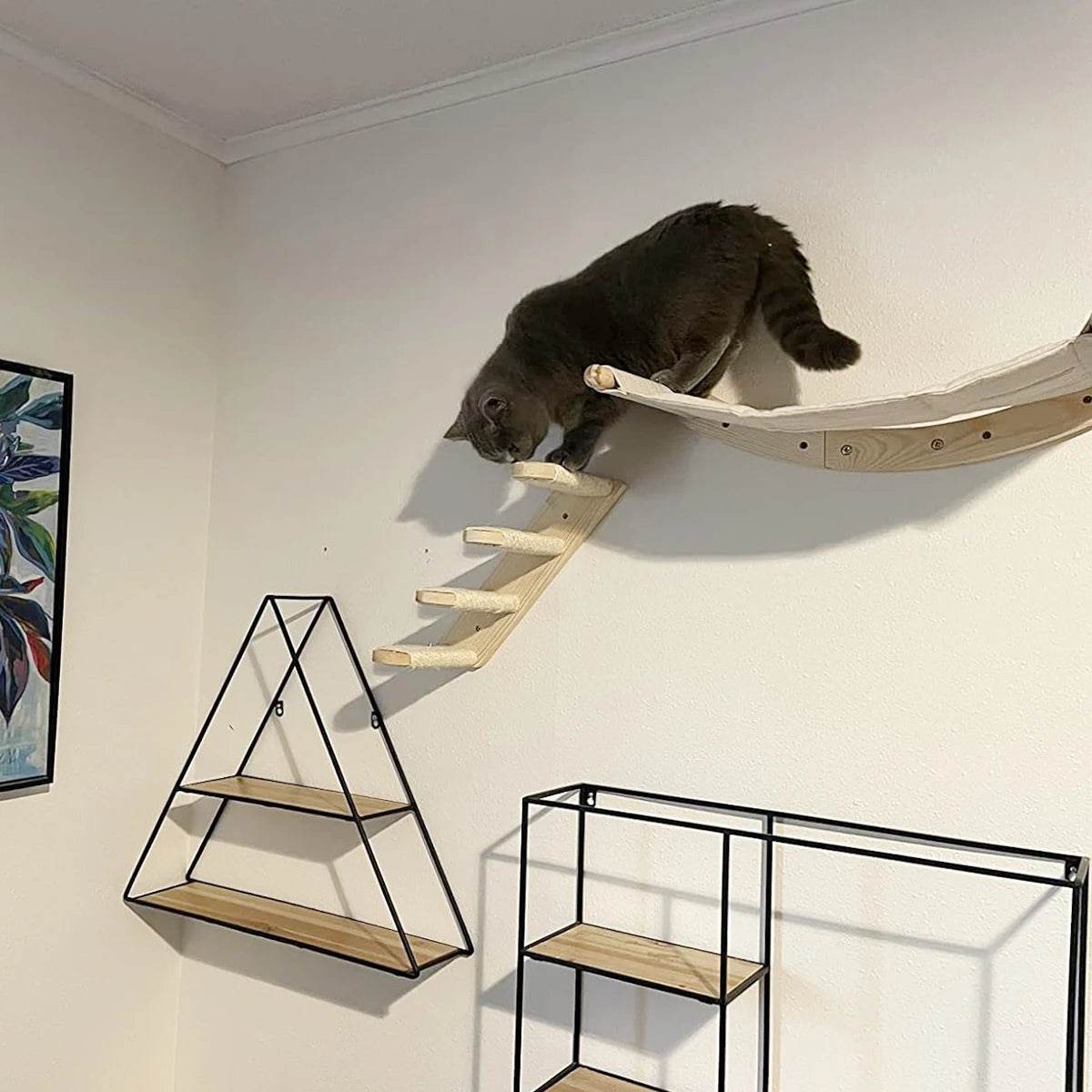 Cat Wall Climbing Shelf