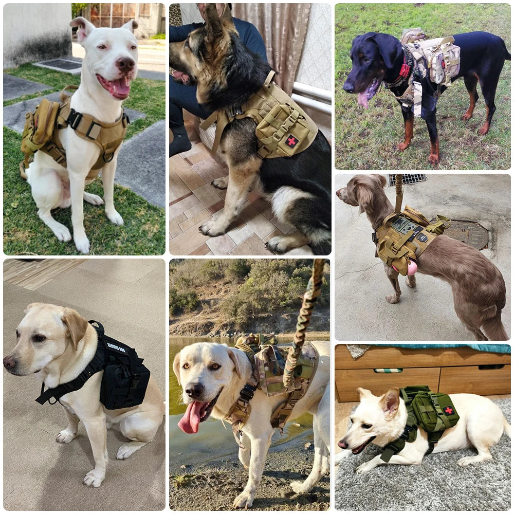 Dog Harness Collar Leash Set - We Have the Goodies