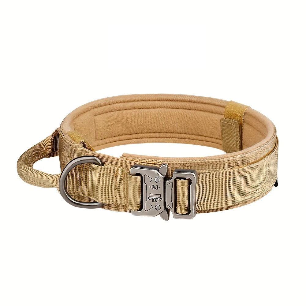 Dog Collar and Leash Set. - We Have the Goodies