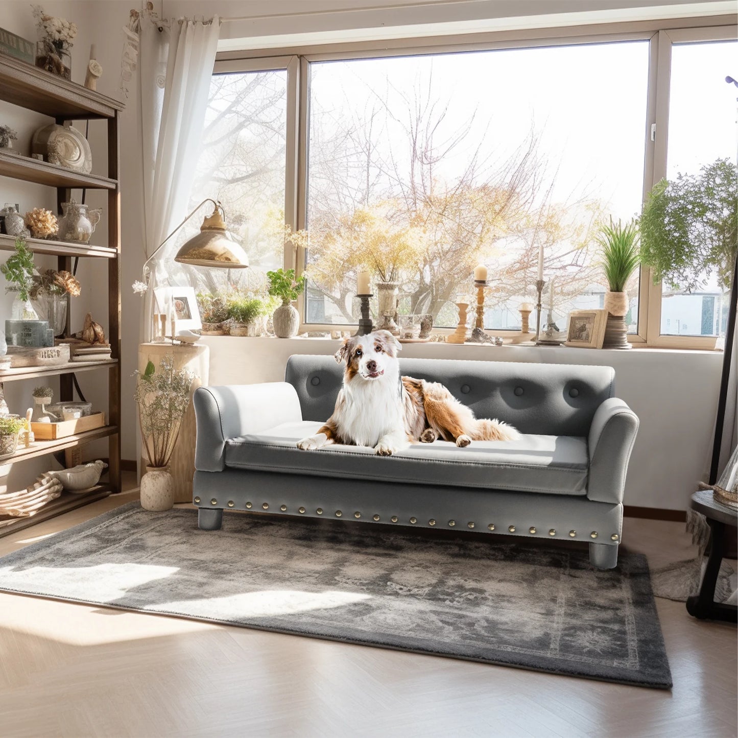 Dog Sofa with Removable Cushion - We Have the Goodies