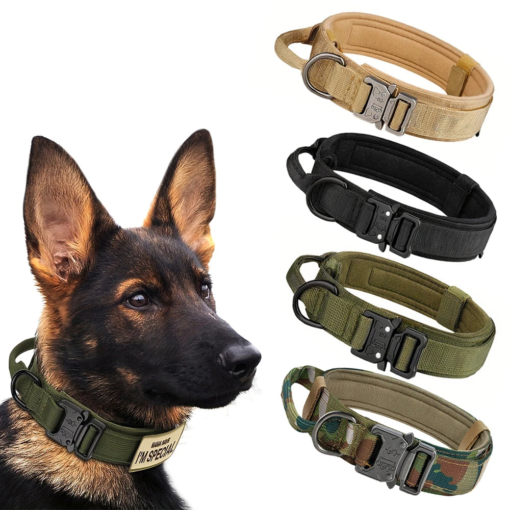 Dog Collar and Leash Set. - We Have the Goodies