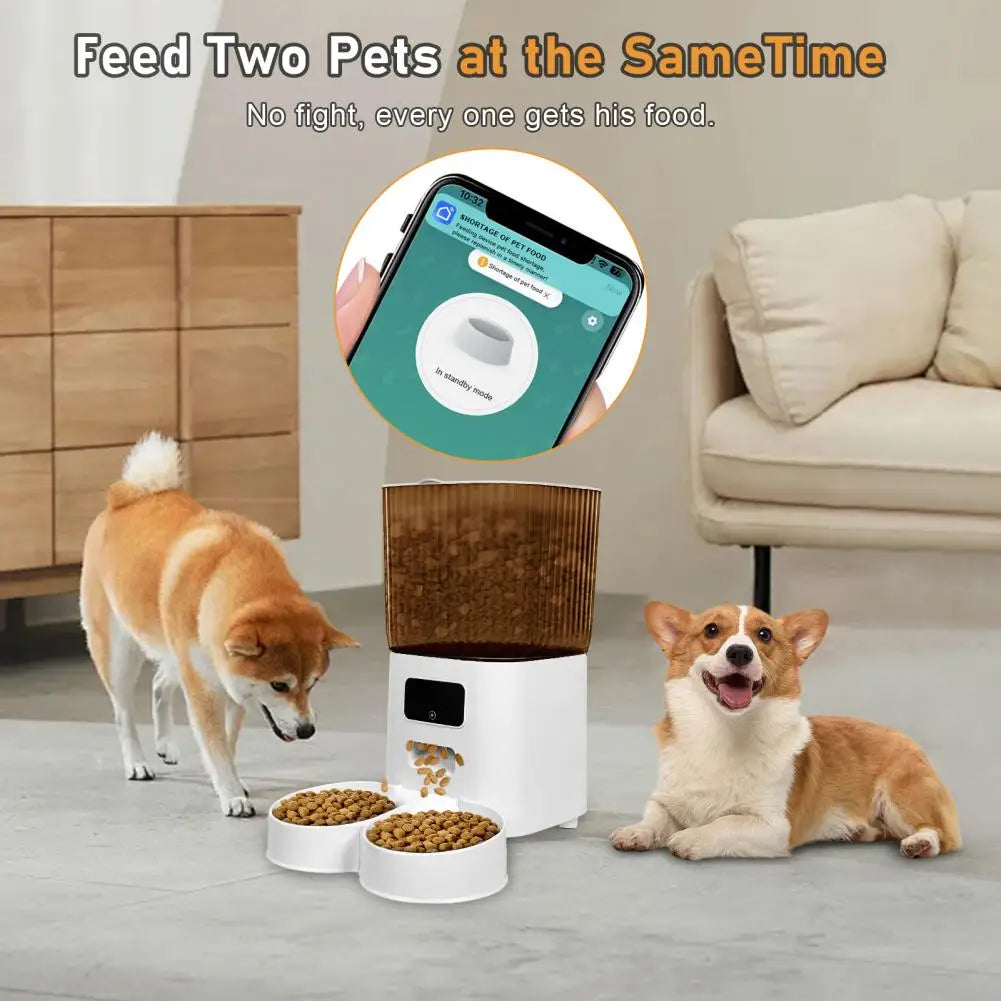 Smart Pet Feeder