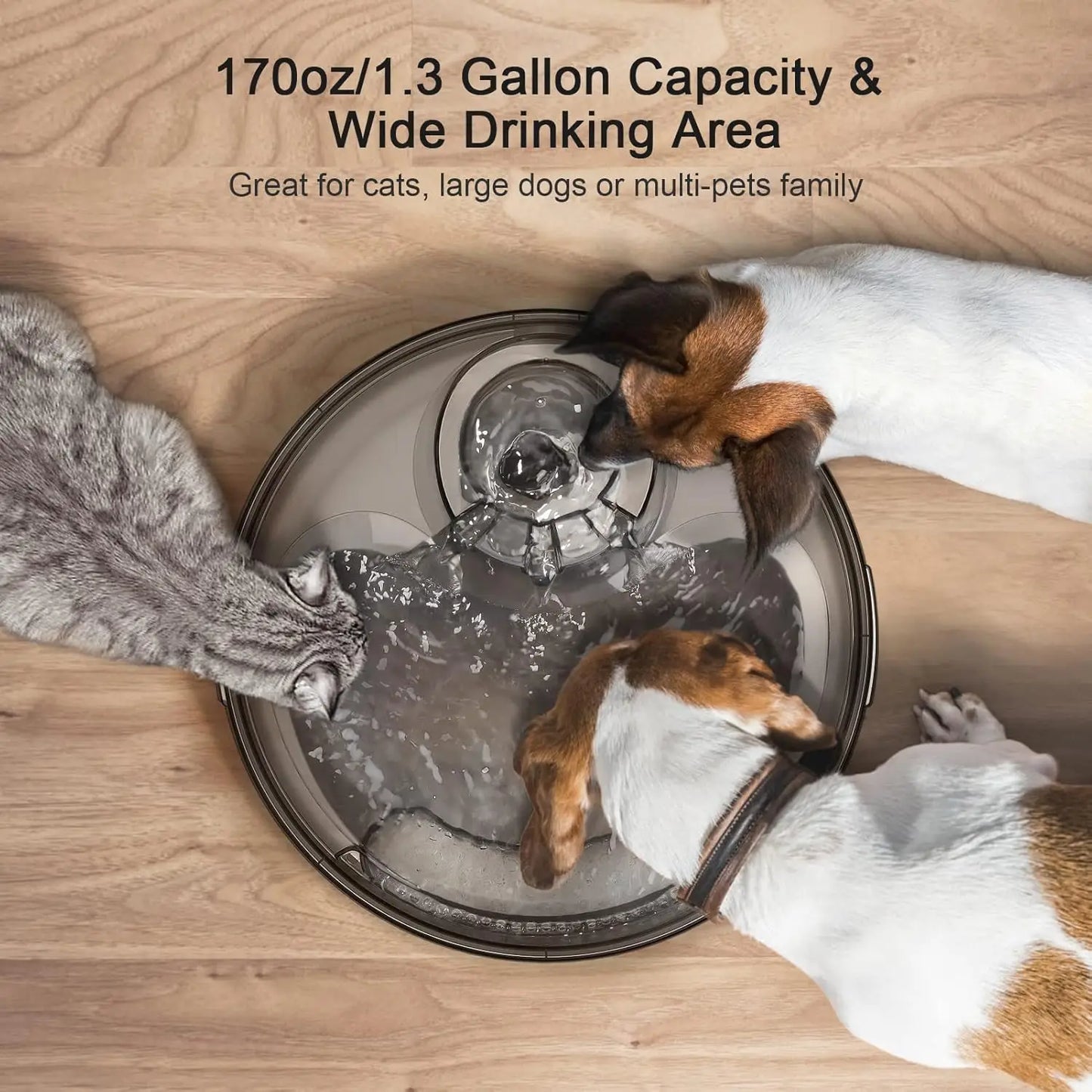 Pet Water Fountain - We Have the Goodies