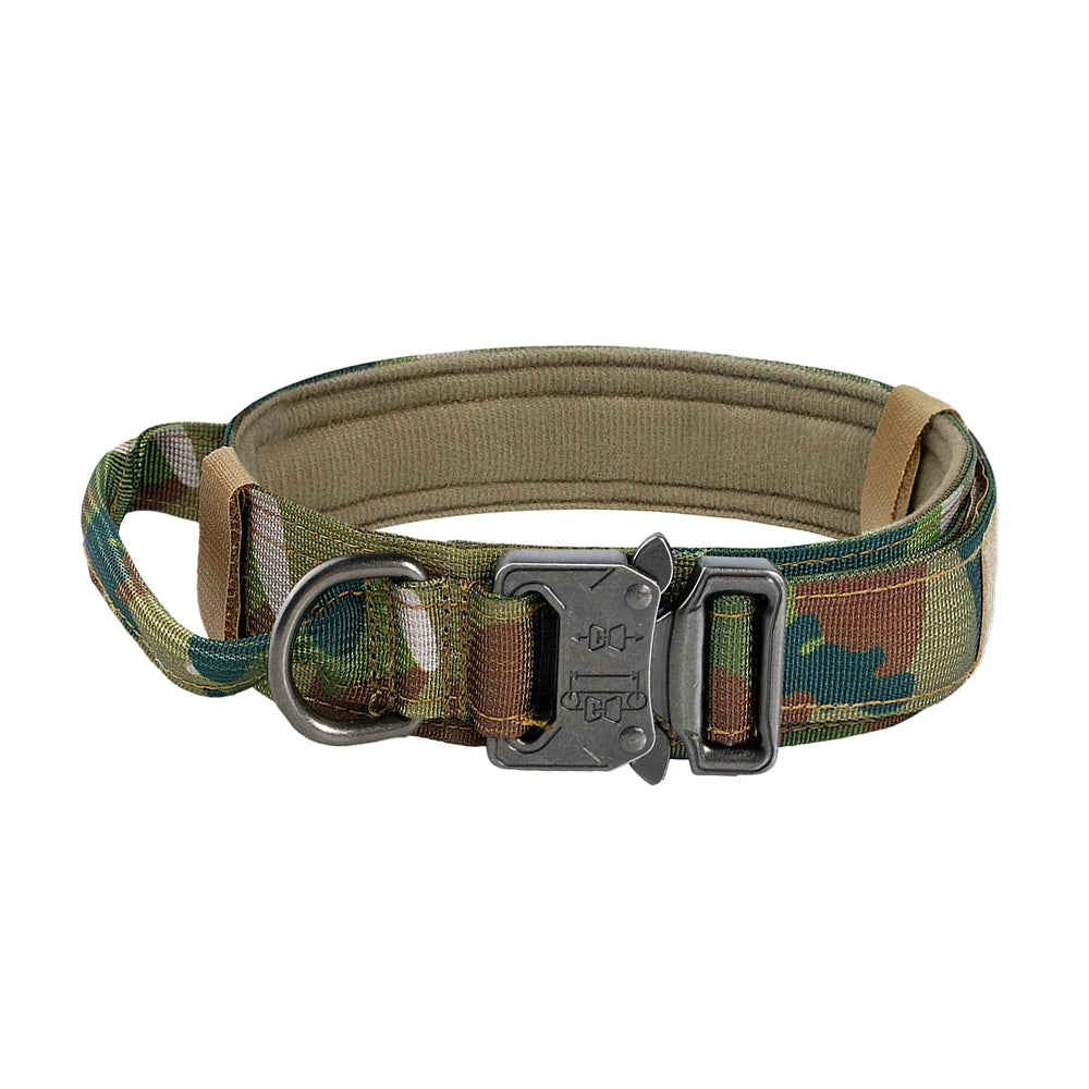 Dog Collar and Leash Set. - We Have the Goodies