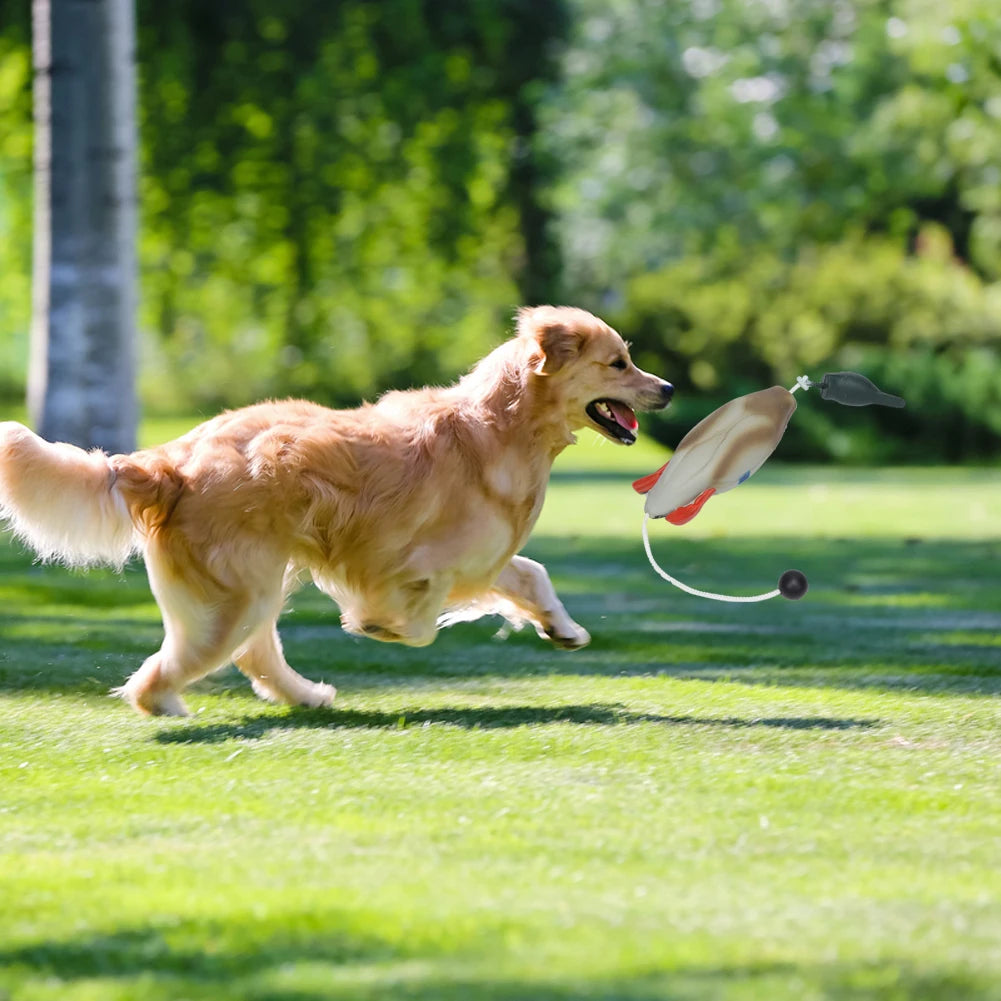 Pet Dog Training Duck. - We Have the Goodies