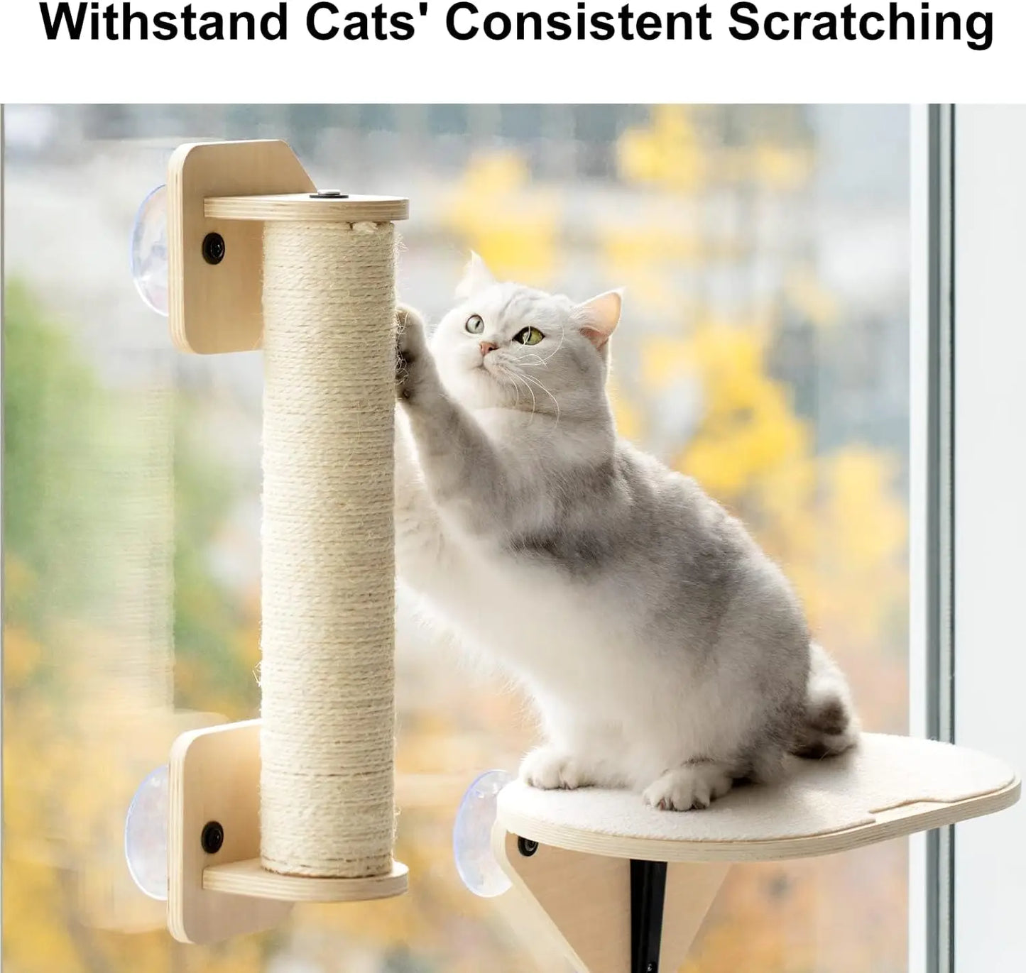 Cat Window Hammock with Climbing Steps