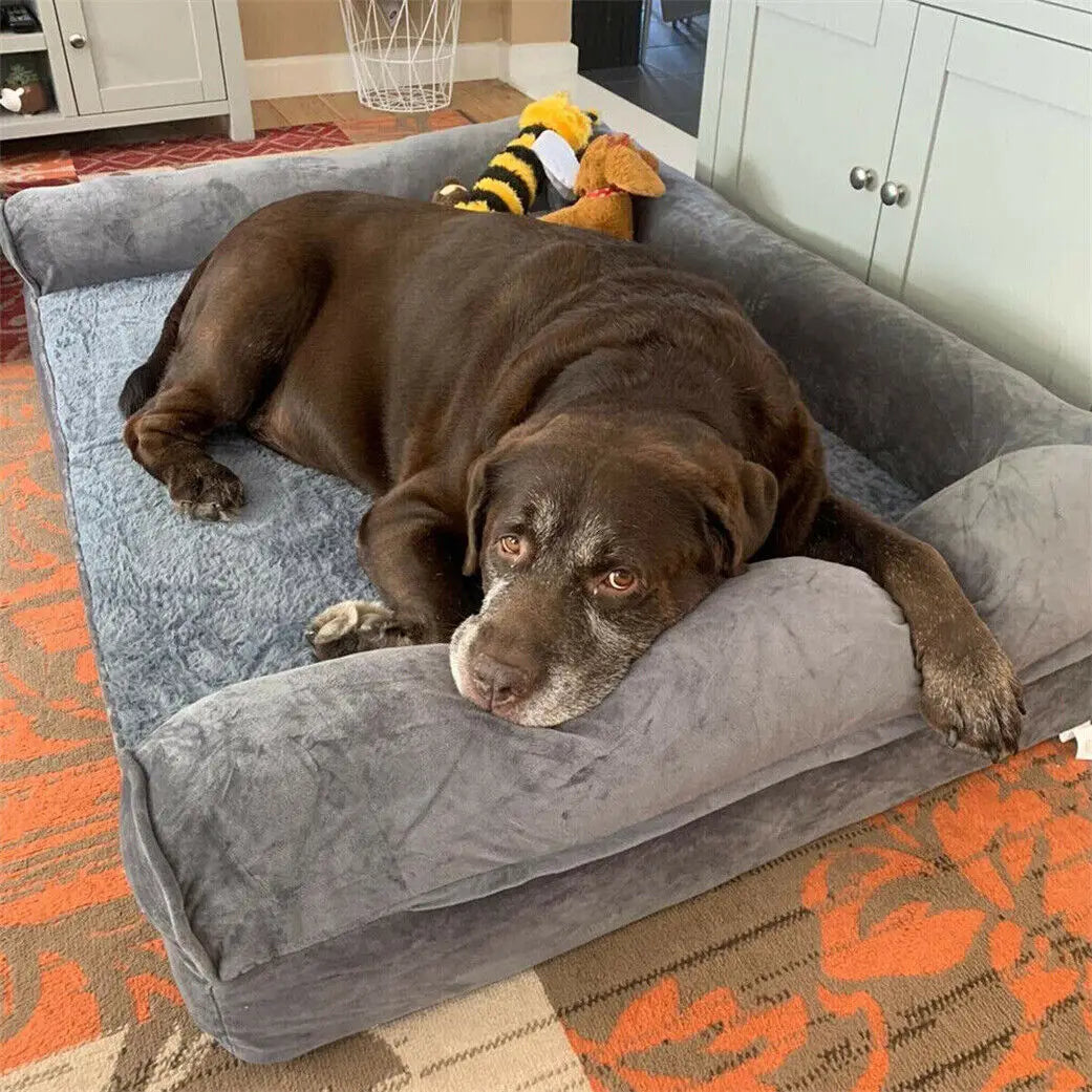 Orthopedic Pet Bed - We Have the Goodies
