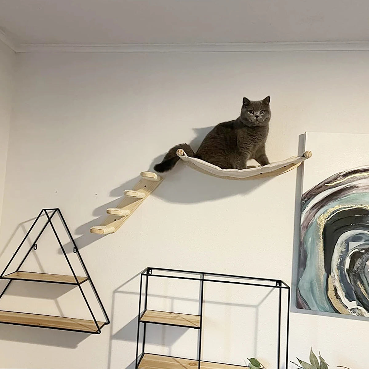 Cat Wall Climbing Shelf