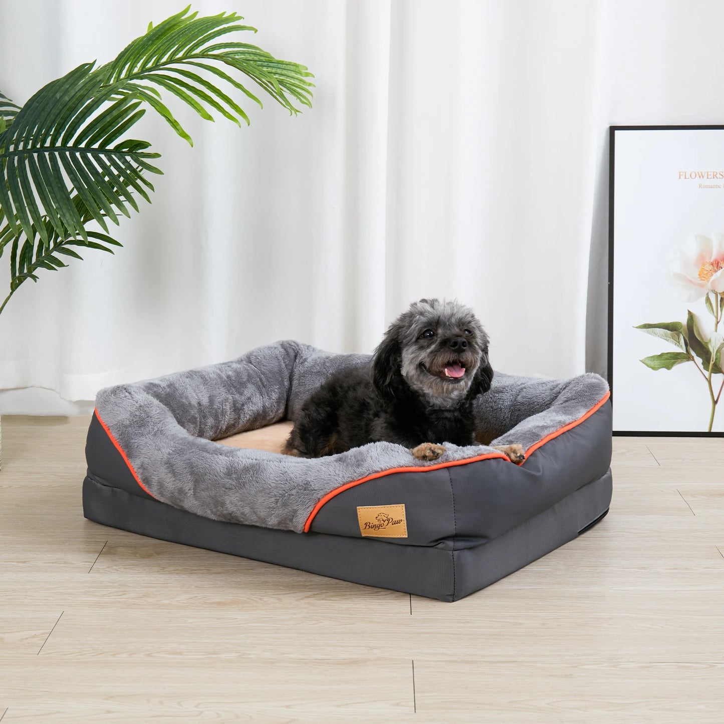 Large Dog Orthopedic Bed with Removable Cover - We Have the Goodies