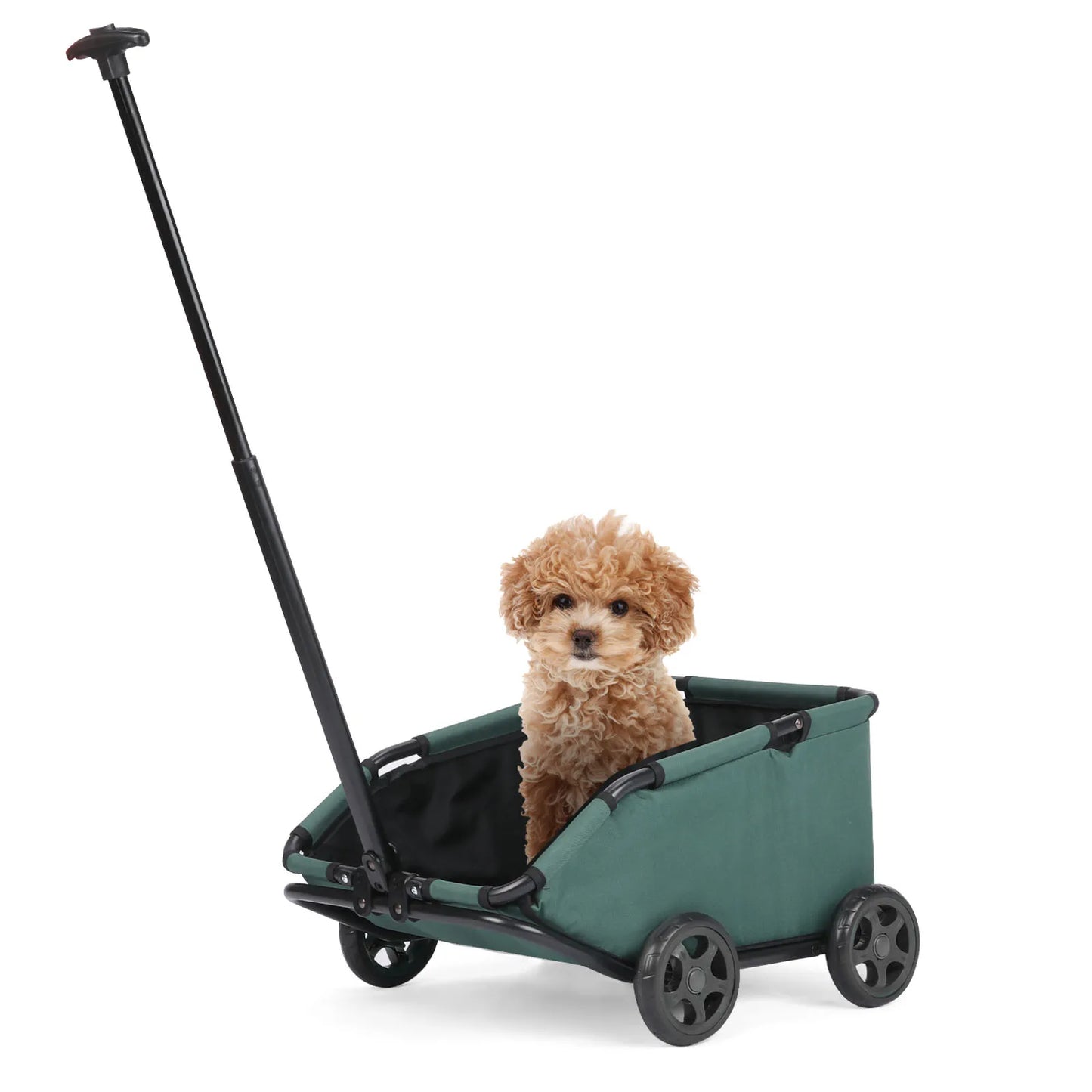 Small Pet Cart - We Have the Goodies