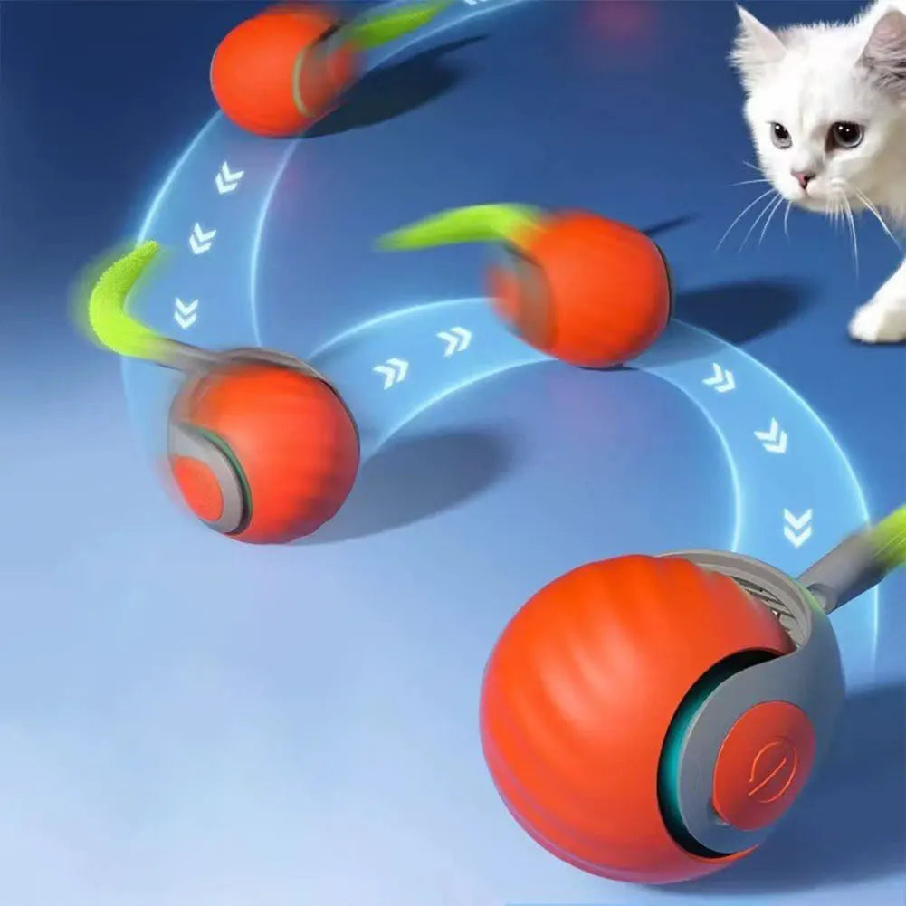 Automatic Moving Cat Toy Ball - We Have the Goodies