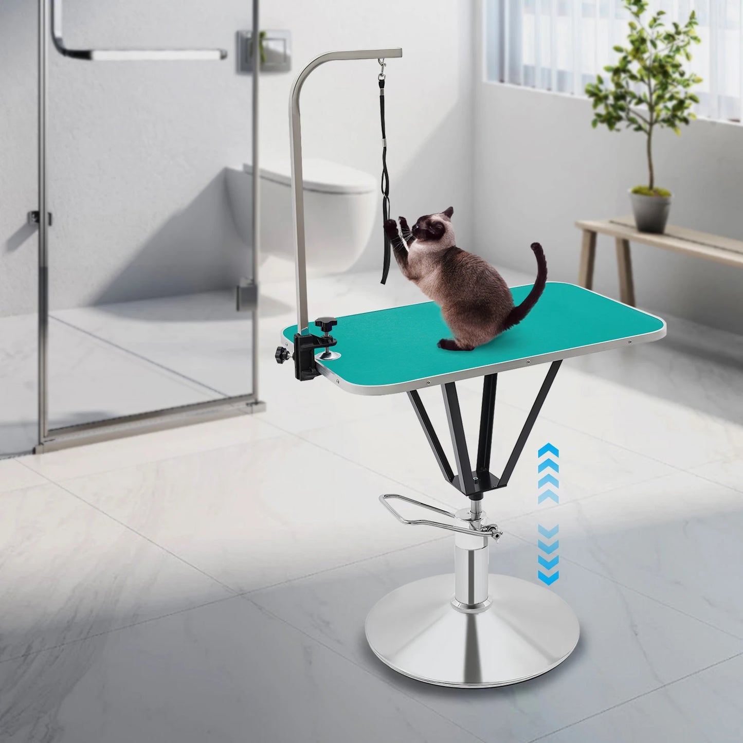 Pet Grooming Table - We Have the Goodies