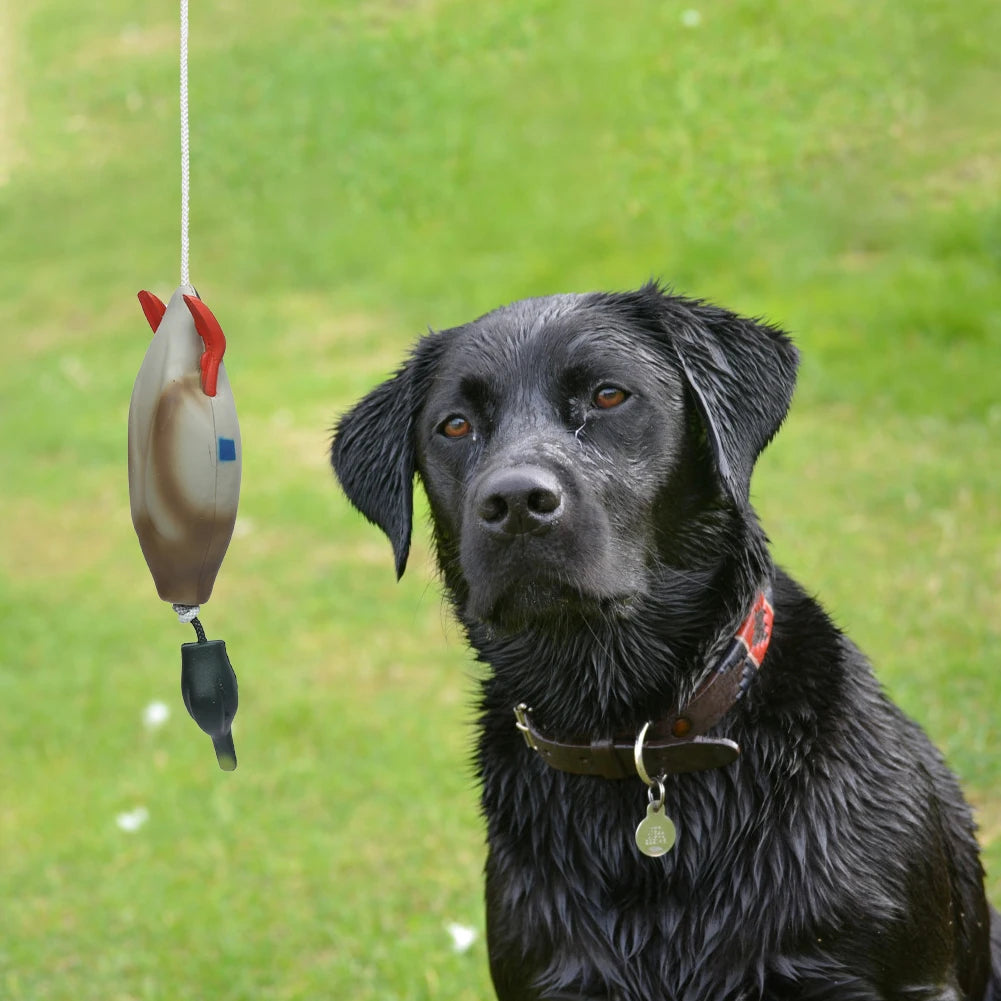 Pet Dog Training Duck. - We Have the Goodies