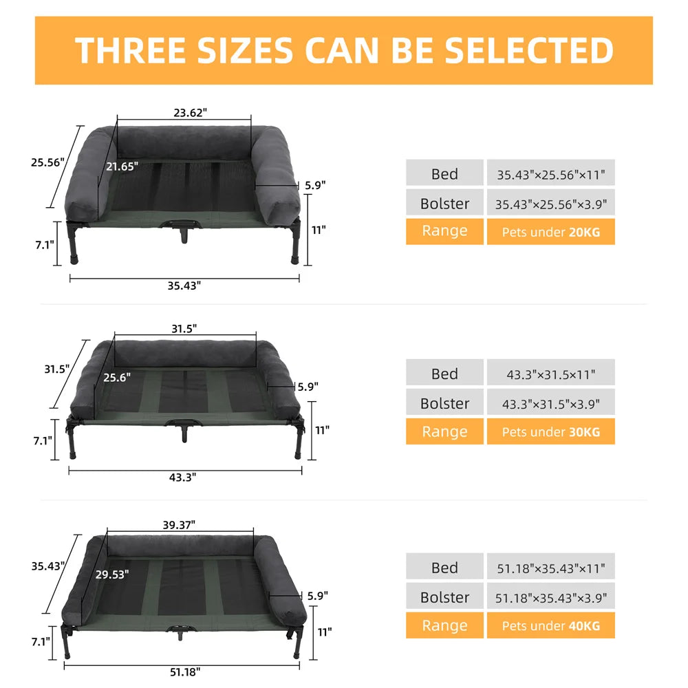 Raised Dog Bed - We Have the Goodies