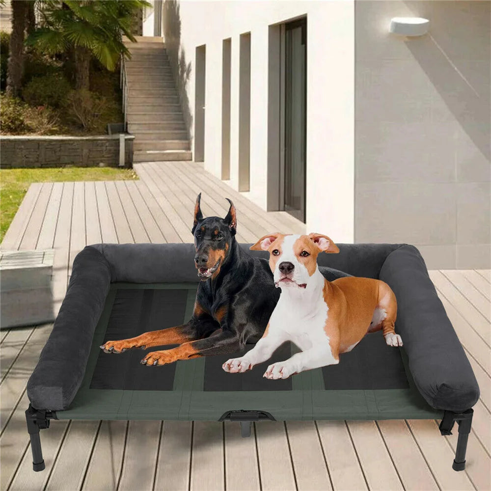 Raised Dog Bed - We Have the Goodies