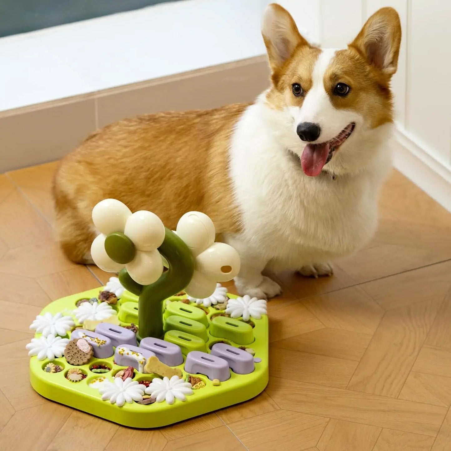 Level 4 Dog Puzzle Toy - We Have the Goodies