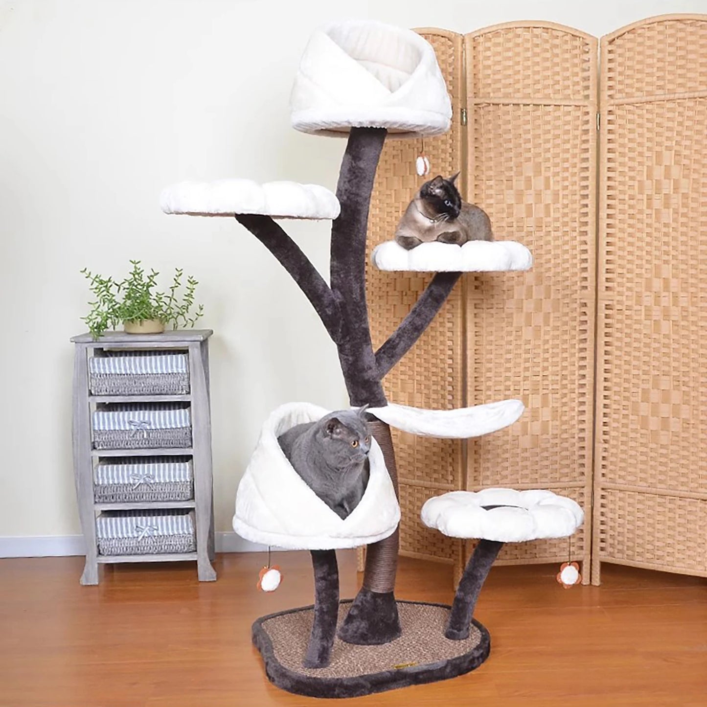 Cat Tree, Leaf-shape