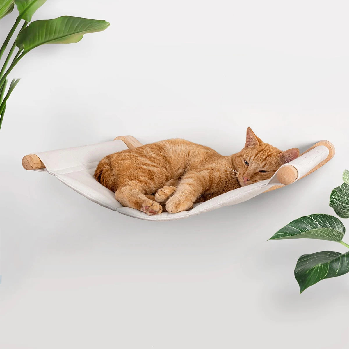 Cat Wall Climbing Shelf