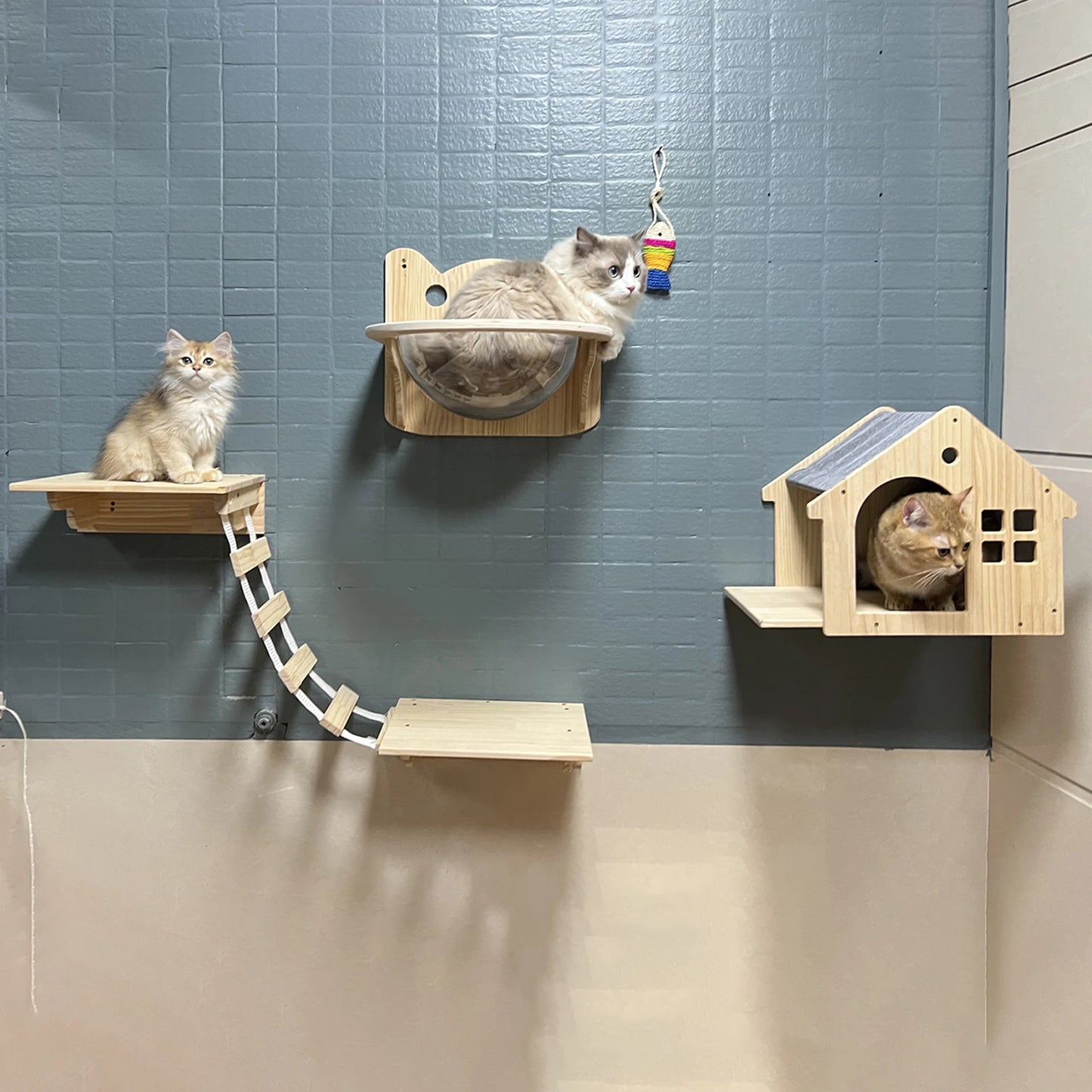 1pc Wall Mounted Cat Condo - We Have the Goodies