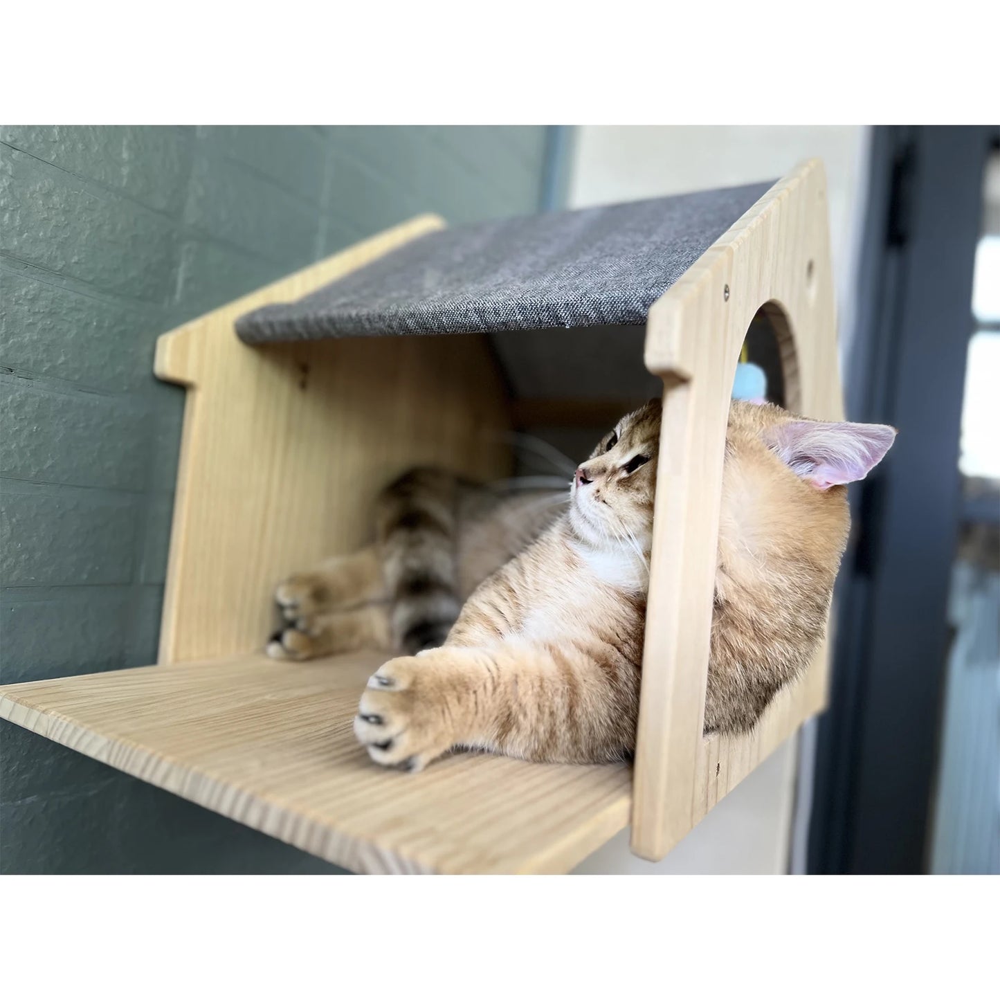 1pc Wall Mounted Cat Condo - We Have the Goodies