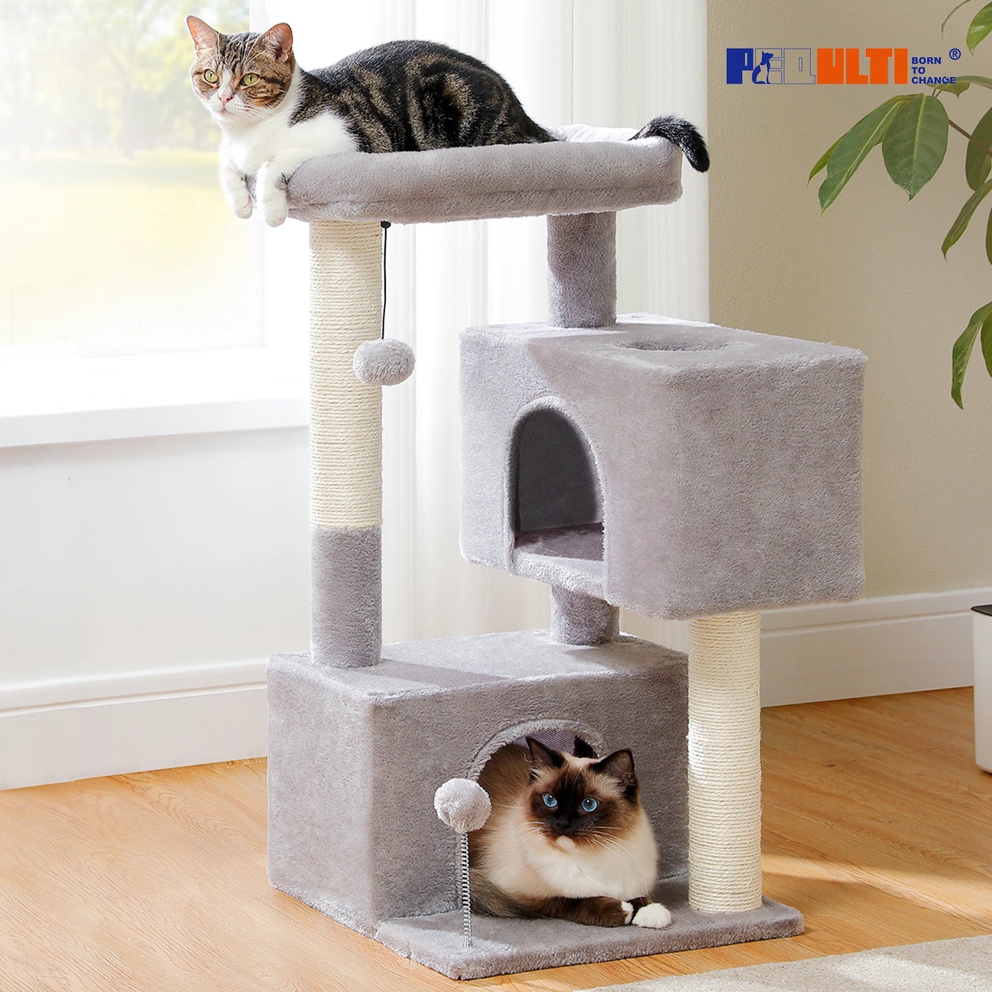 Cat Tree with Detachable Top Perch
