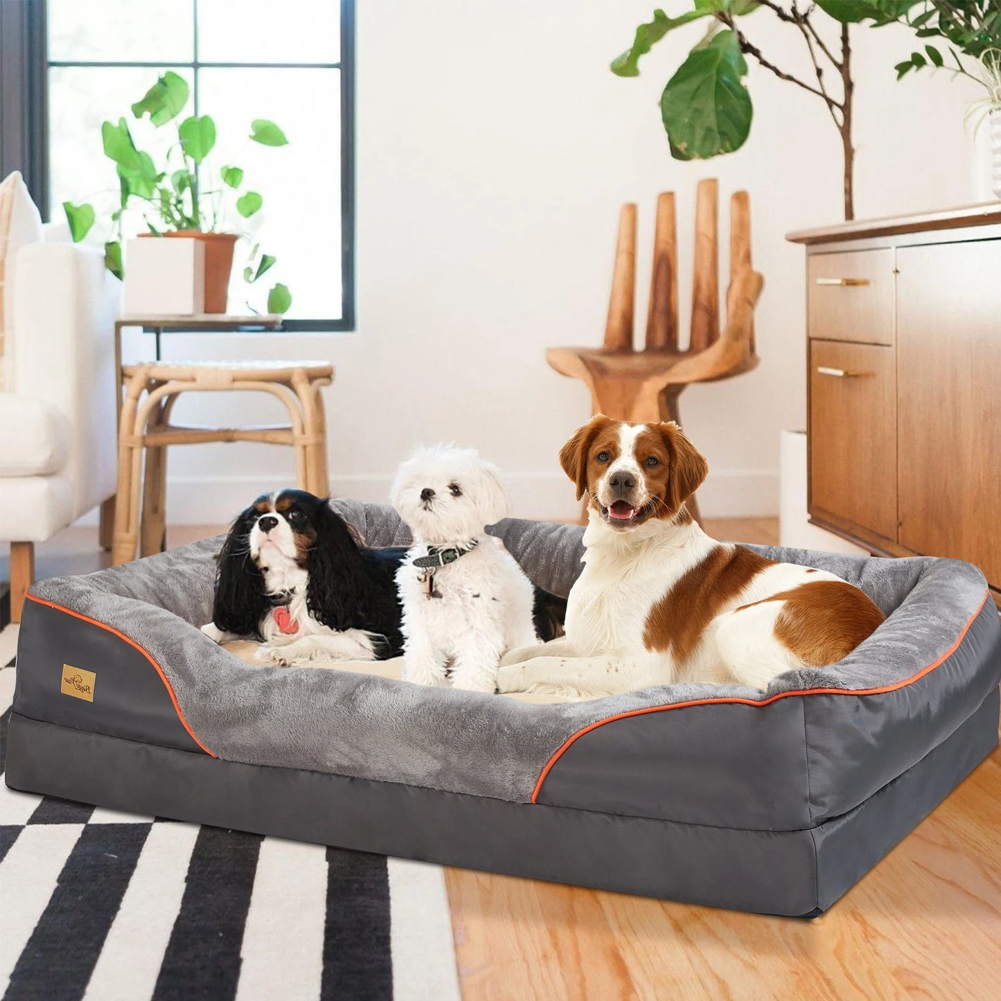 Large Dog Orthopedic Bed with Removable Cover - We Have the Goodies