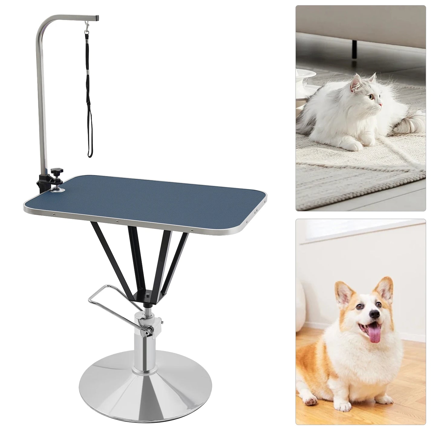 Pet Grooming Table - We Have the Goodies