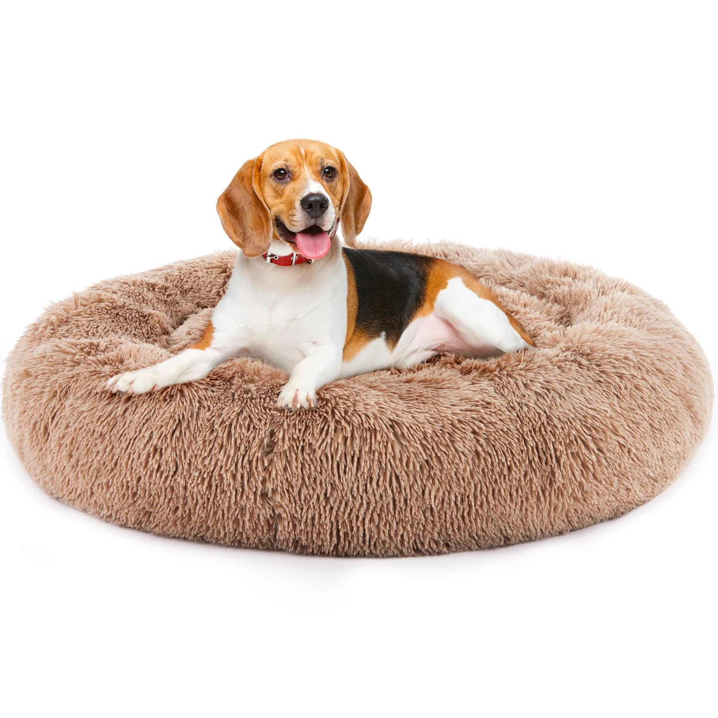 Washable and Anti-Slip Dog Bed - We Have the Goodies