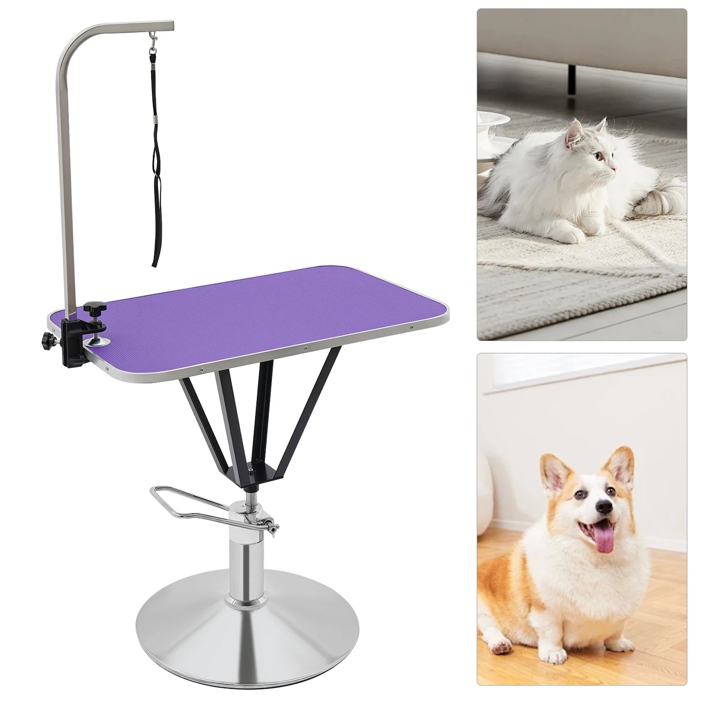 Pet Grooming Table - We Have the Goodies