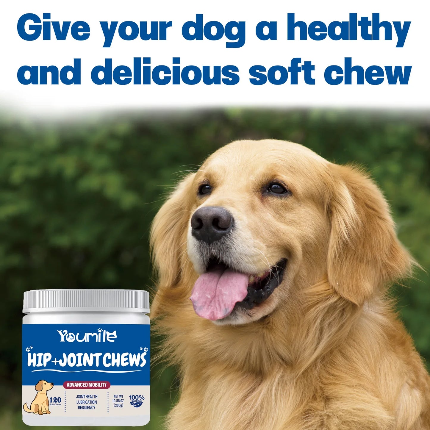 Dog Supplement for Arthritis Pain Relief - We Have the Goodies